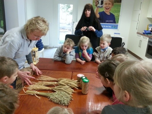 Kinder lernen Getreidesorten kennen