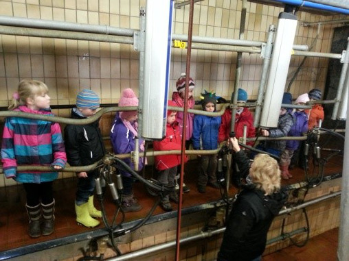 Kinder im Kuhstall