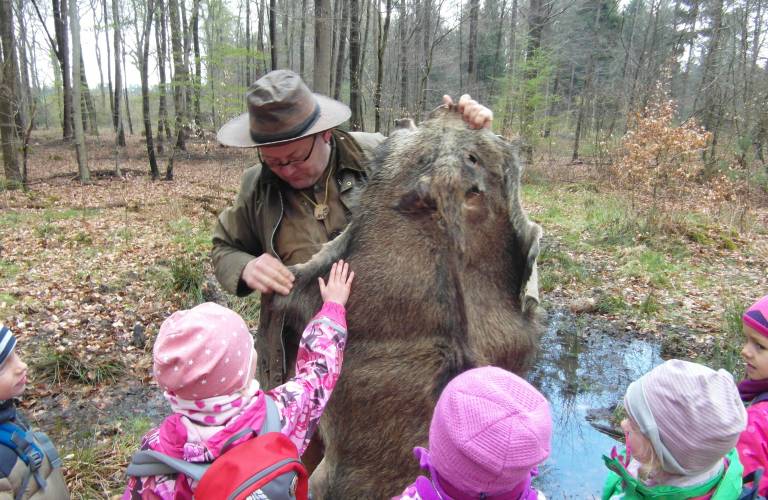 Lernort Wald - seit 2016