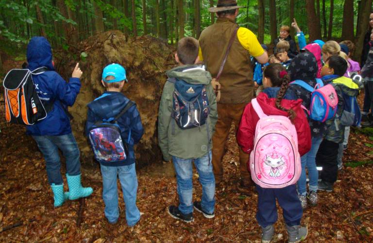 Lernort Wald - seit 2016