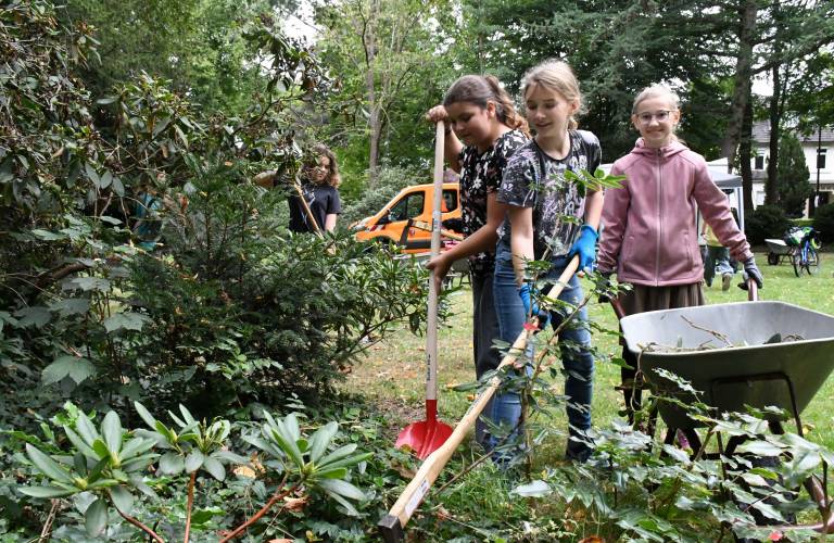 Unser Park soll schöner werden - Projektwoche am Cato Bontjes van Beek-Gymnasium 