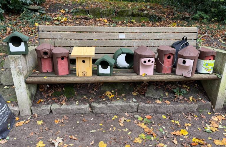 Reinigung der Nistkästen im Rathauspark