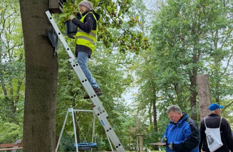 Nistkastenaktion im Rathauspark