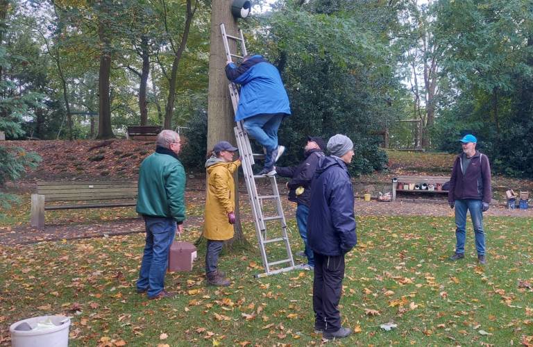 Nistkastenaktion im Rathauspark